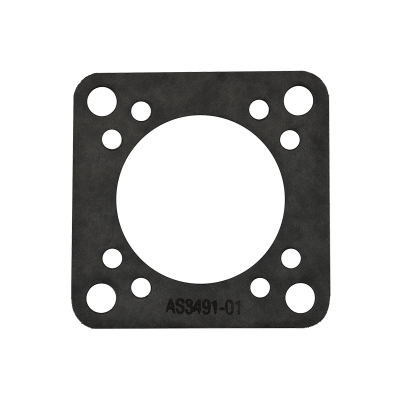 DRY AIR PUMP GASKET - AS3491-01