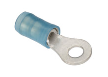 Ring Terminal (BLUE)
