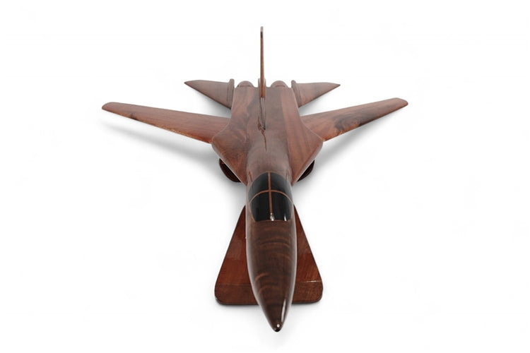 F-111 Aardvark